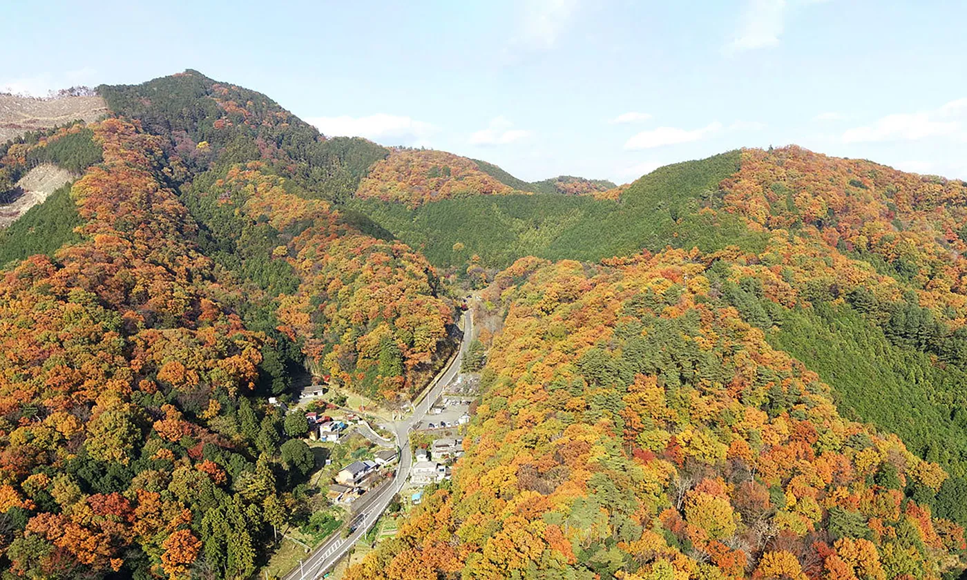 Aerial view of autumn leaves on Mt. Oiwa