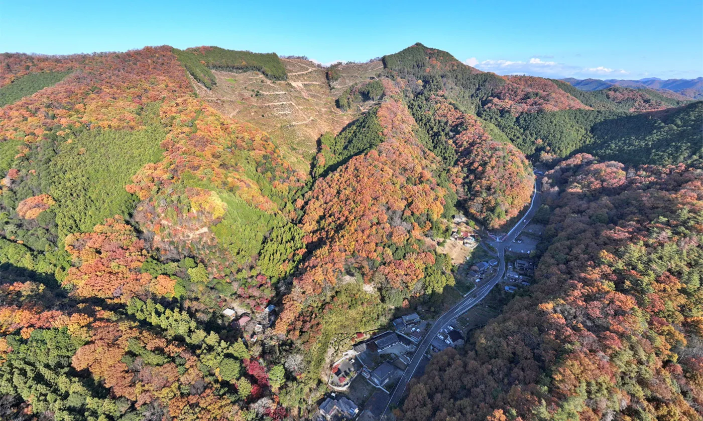 Aerial view of afforestation project on Oiwa Mountain