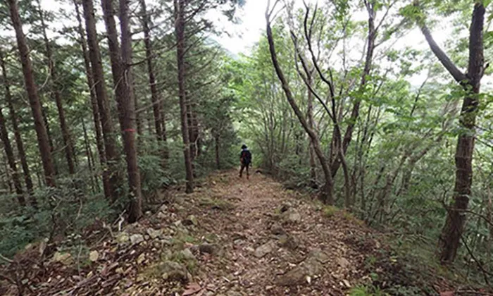 Hiking Trails on Mt. Oiwa