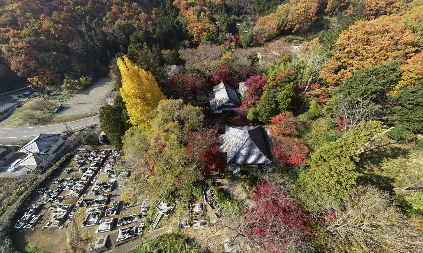 VR tour of autumn leaves in Saishoji Temple Honbo