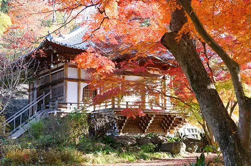 Guide to Saishoji Temple Honbo
